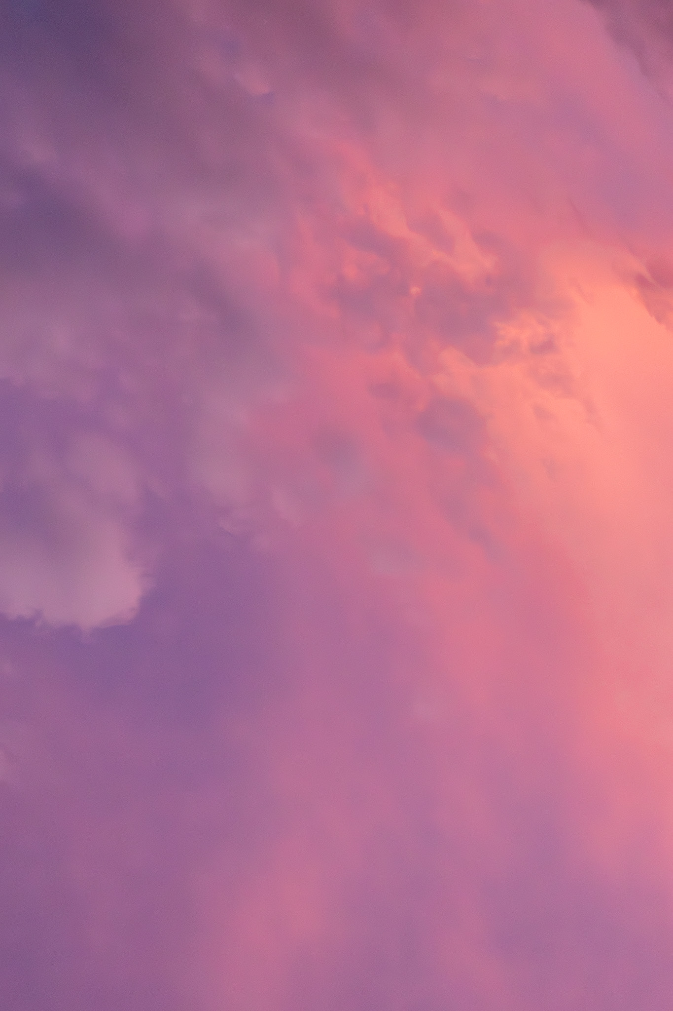 Lavender Cloud Ballet #3