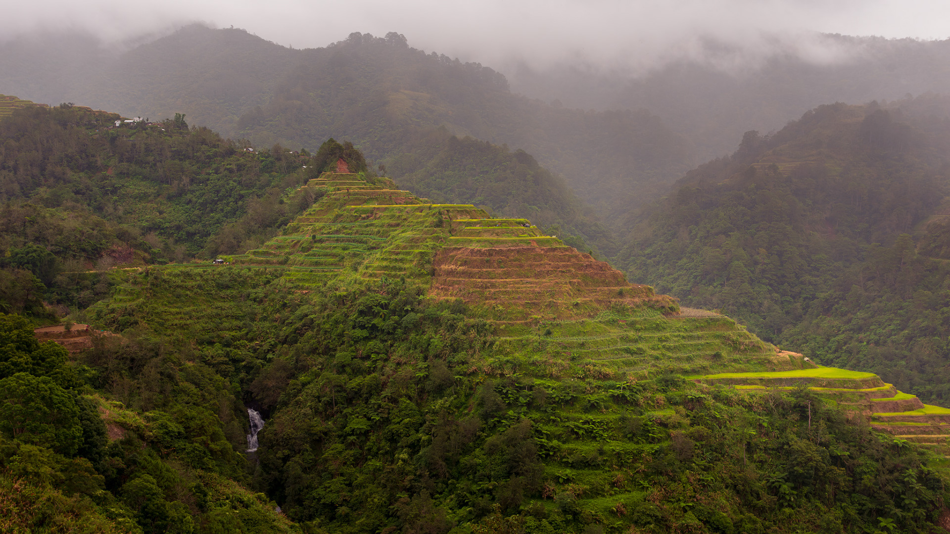 Banaue Rice Terraces #2