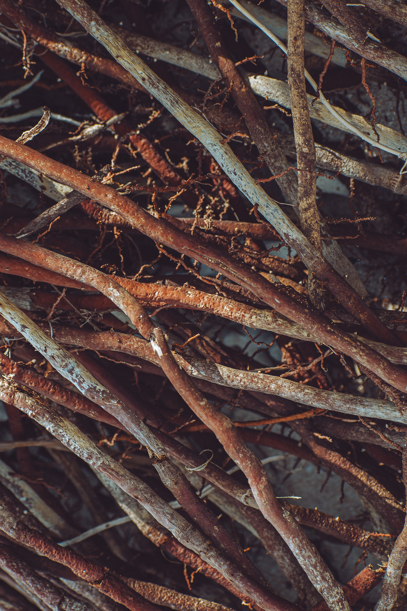 Tropical Oasis Patterns #3