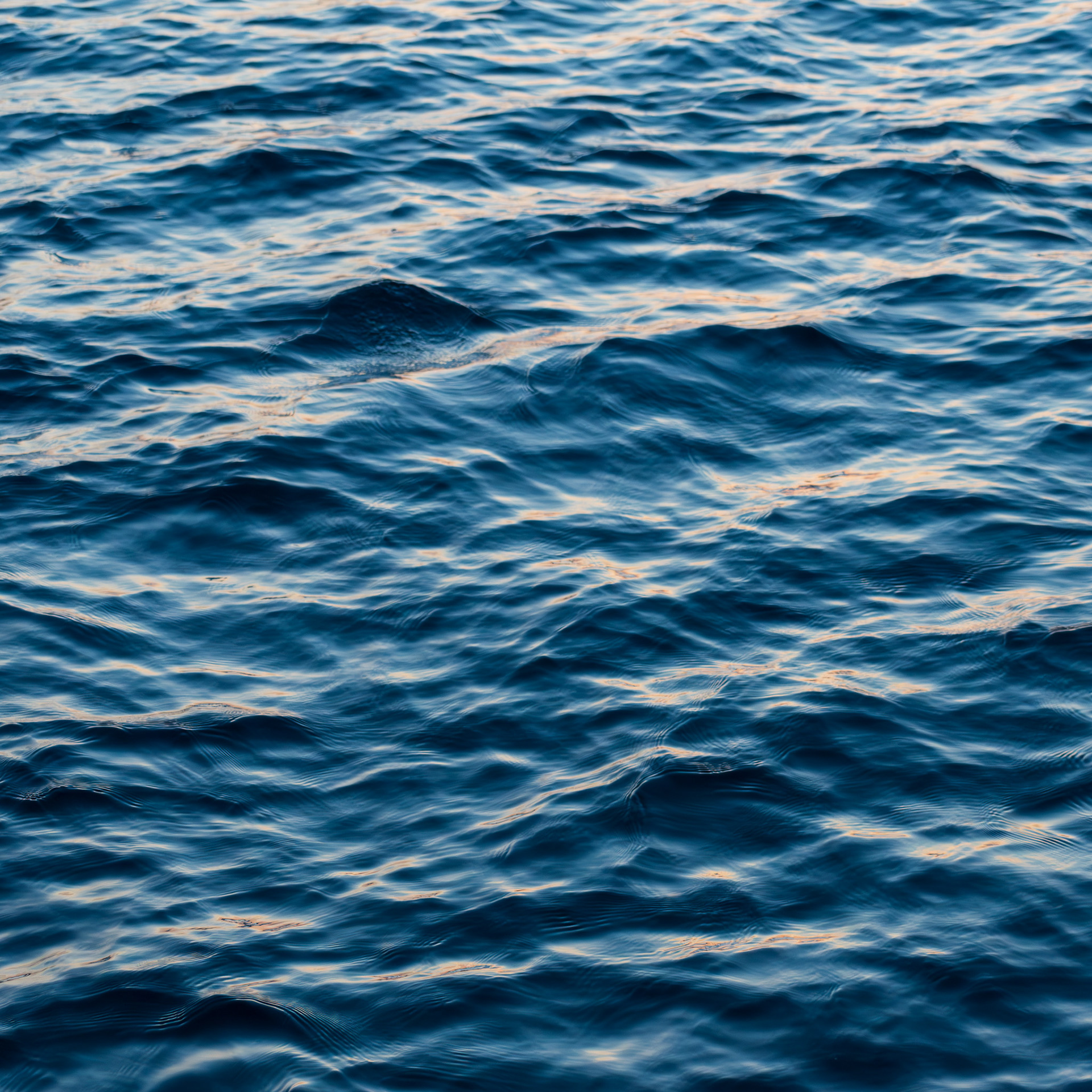 Aquatic Abstractions #5