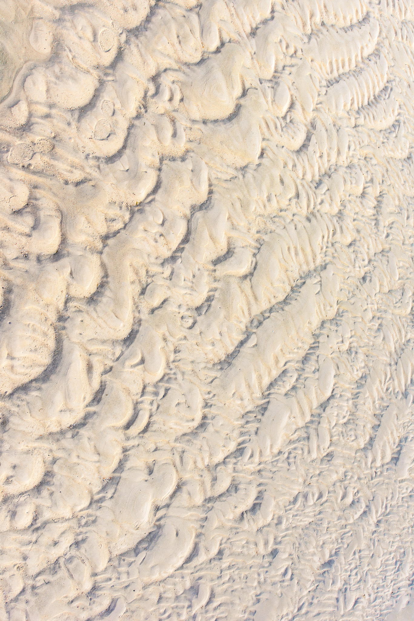 Tropical Oasis Patterns #2