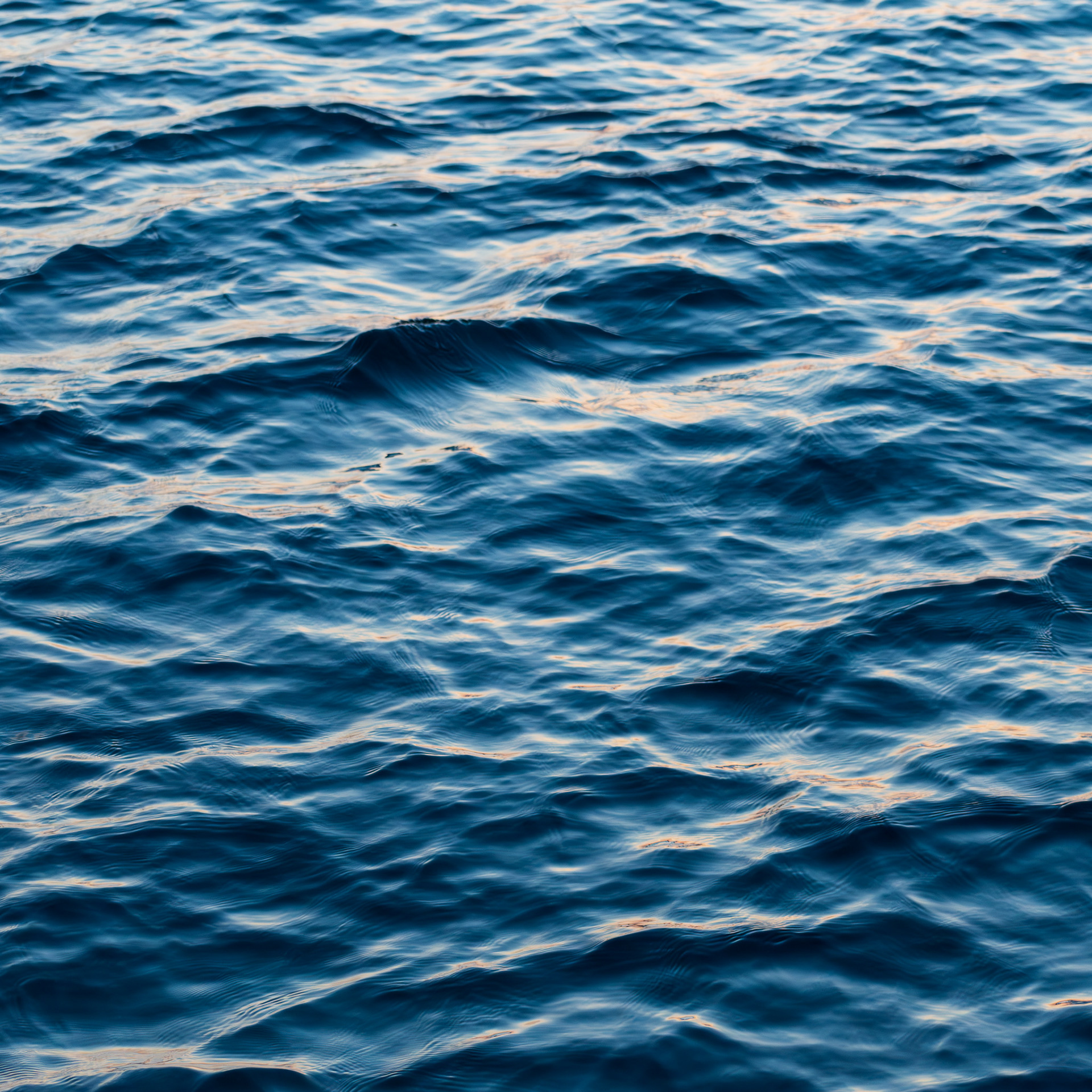 Aquatic Abstractions #3