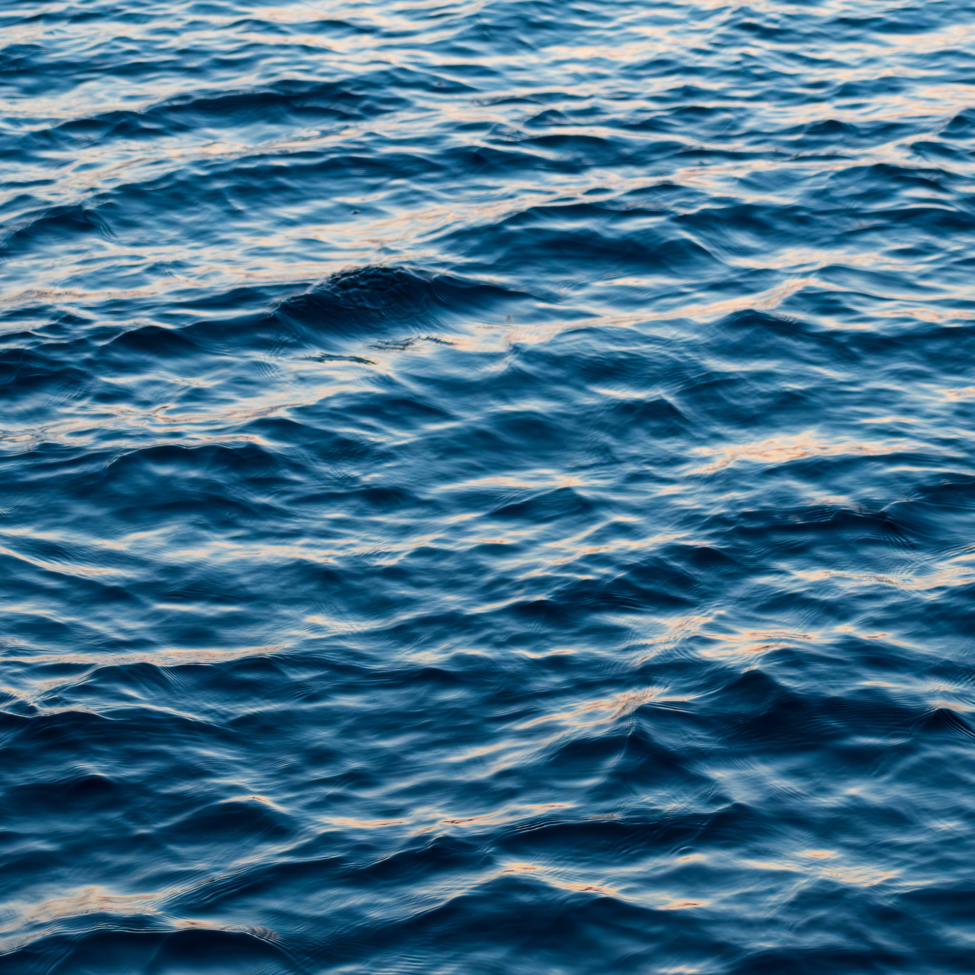 Aquatic Abstractions #4