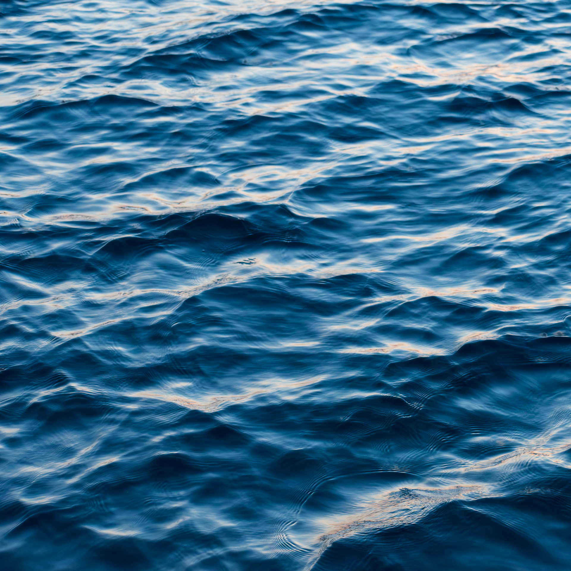 Aquatic Abstractions #2