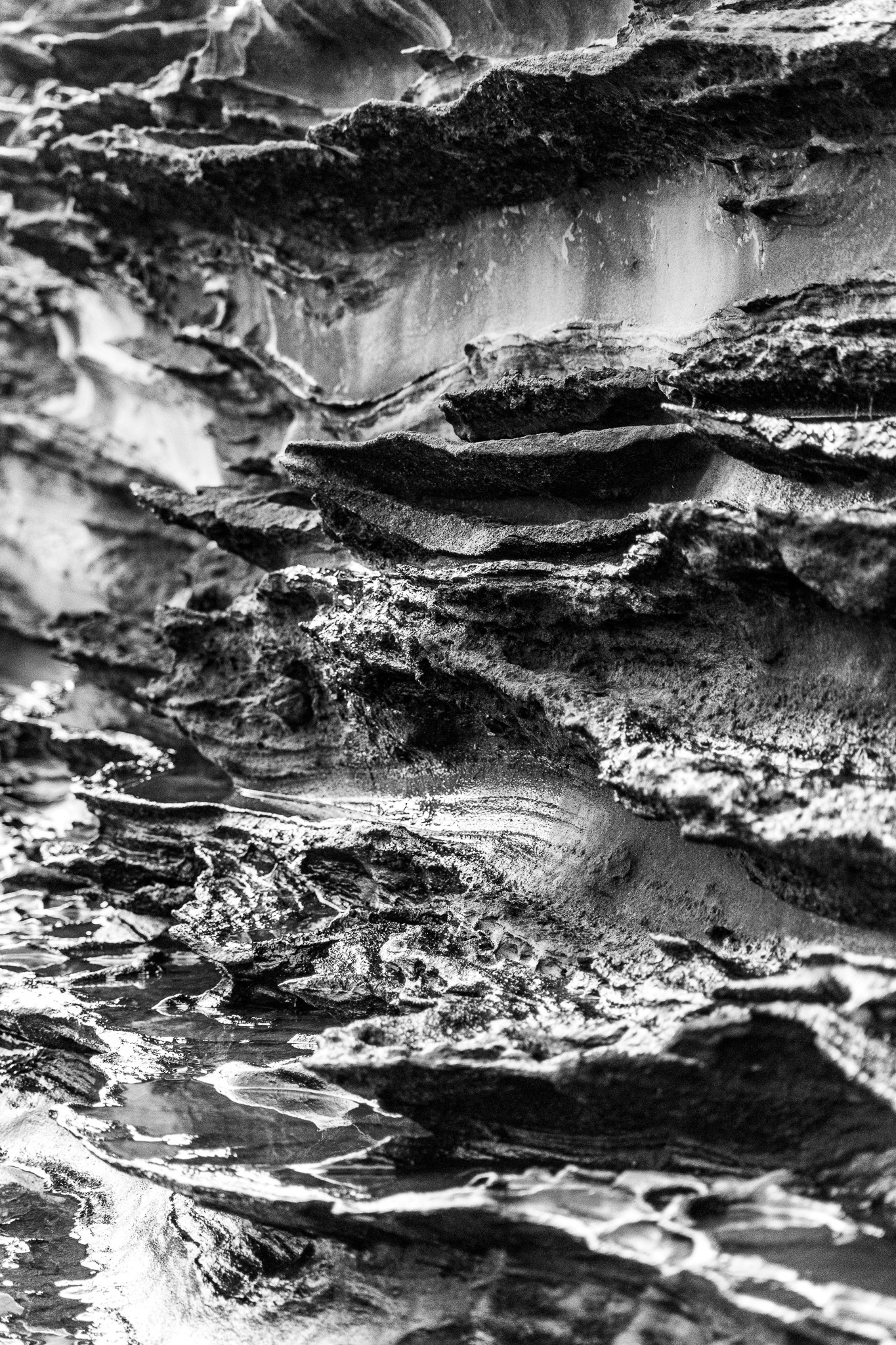 Degrees of Abstraction #4