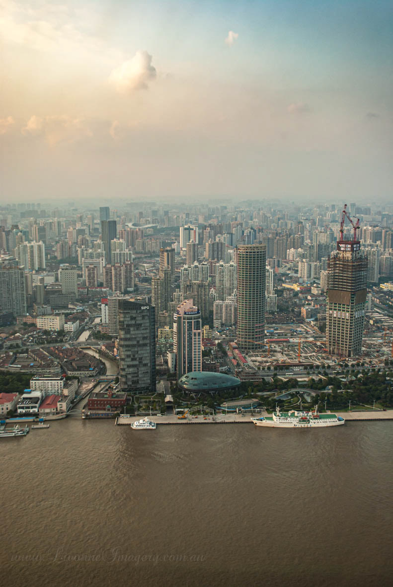 Shanghai Skyline