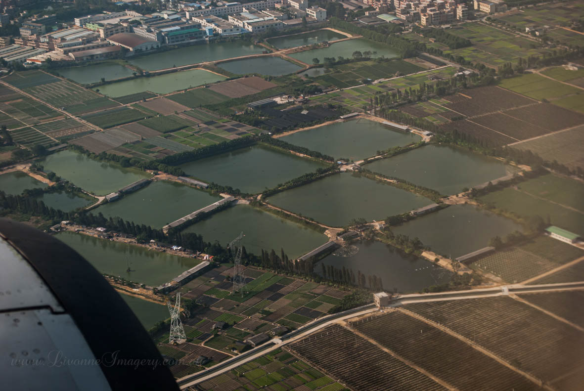 From the Air