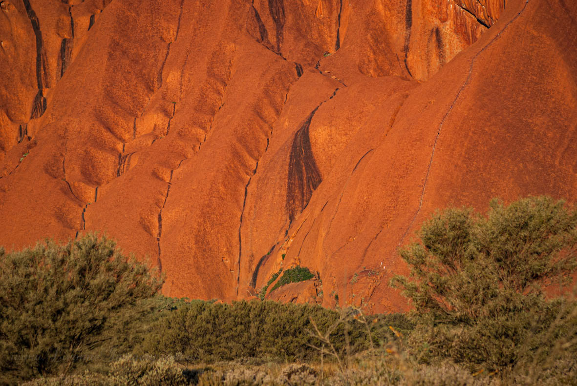 To Uluru & Kata Tjuta