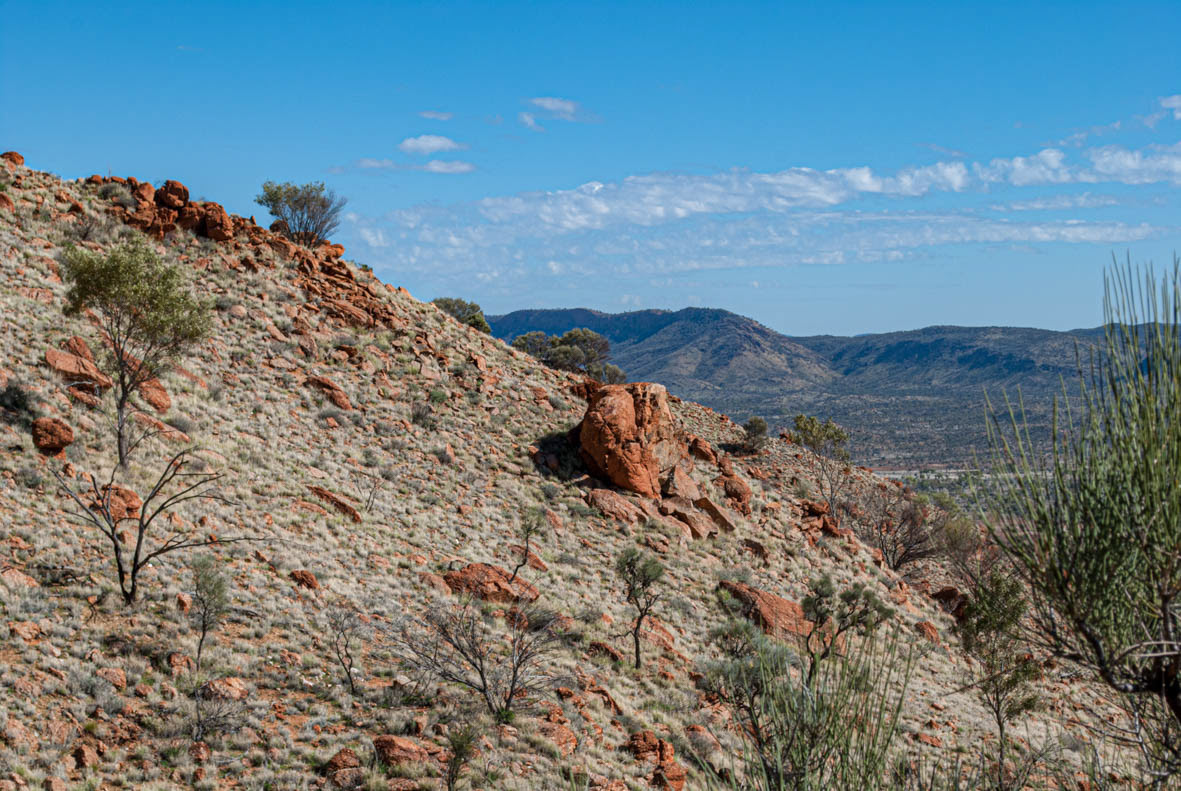 Alice Springs