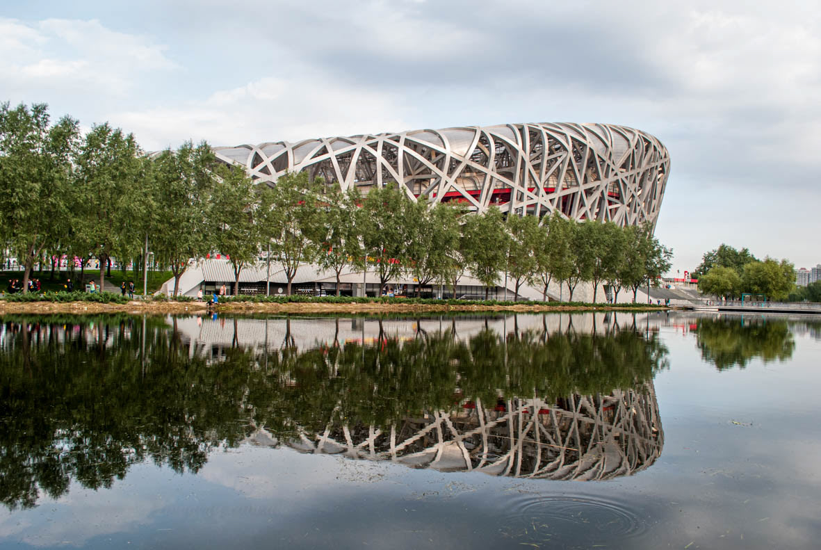 The Birds Nest
