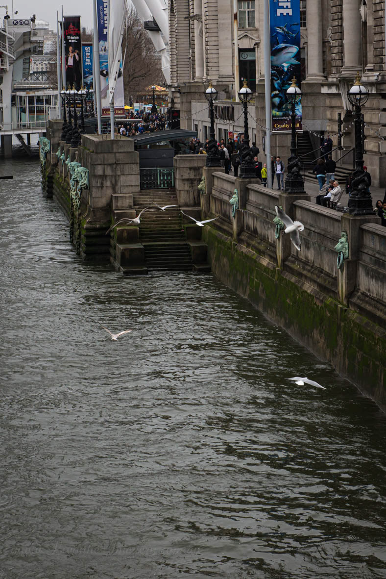 London