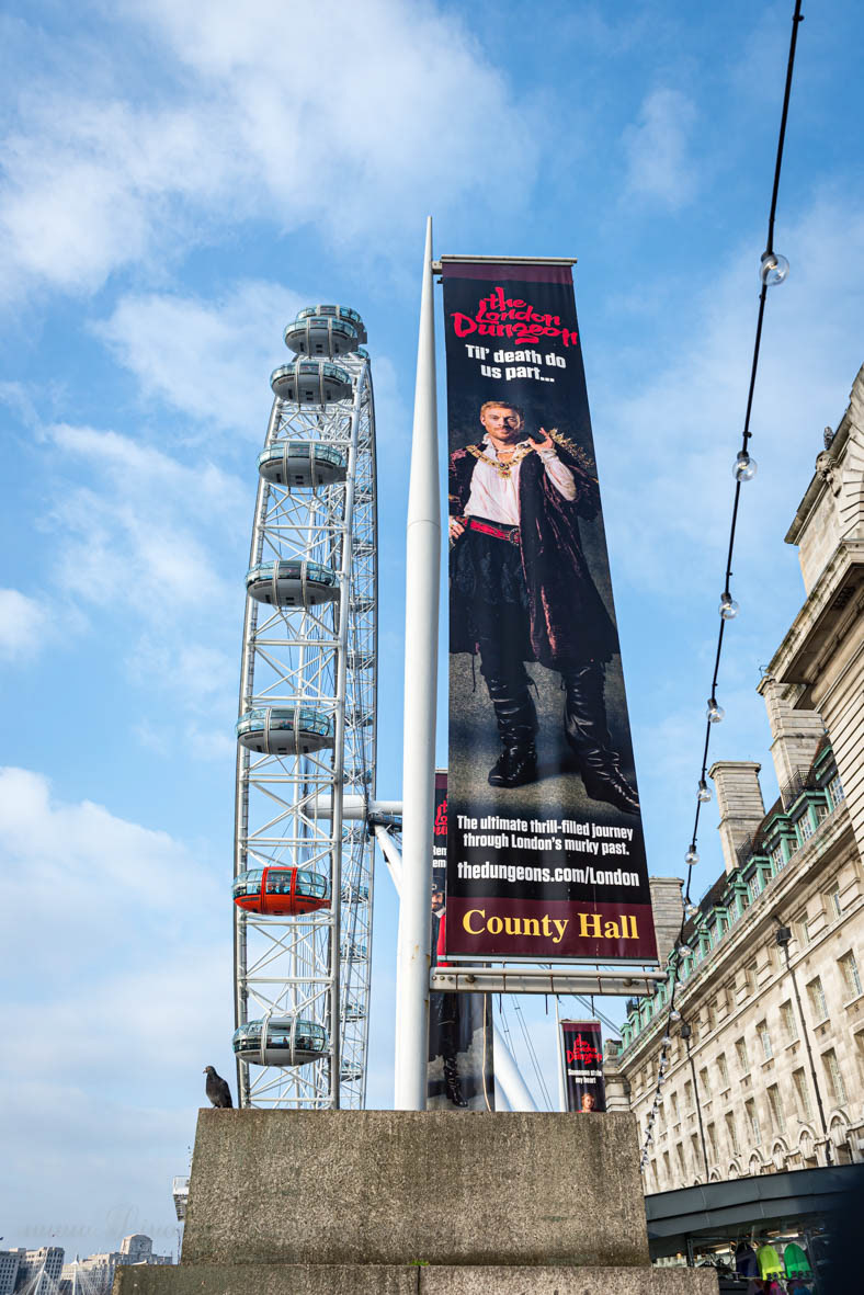 The London Eye