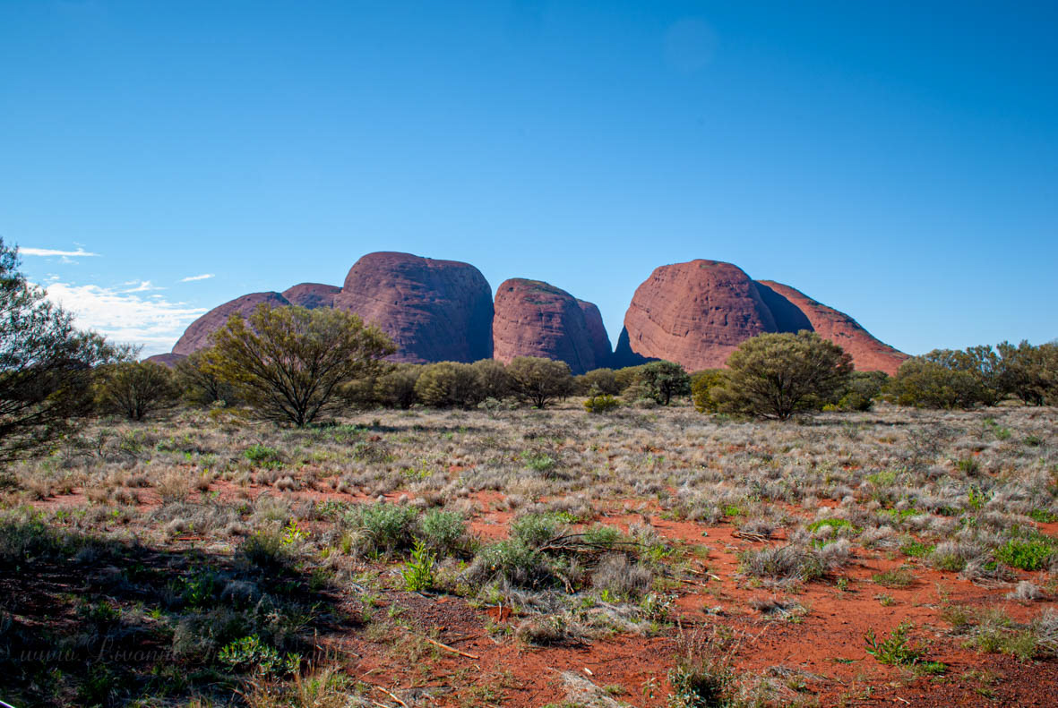To Uluru & Kata Tjuta