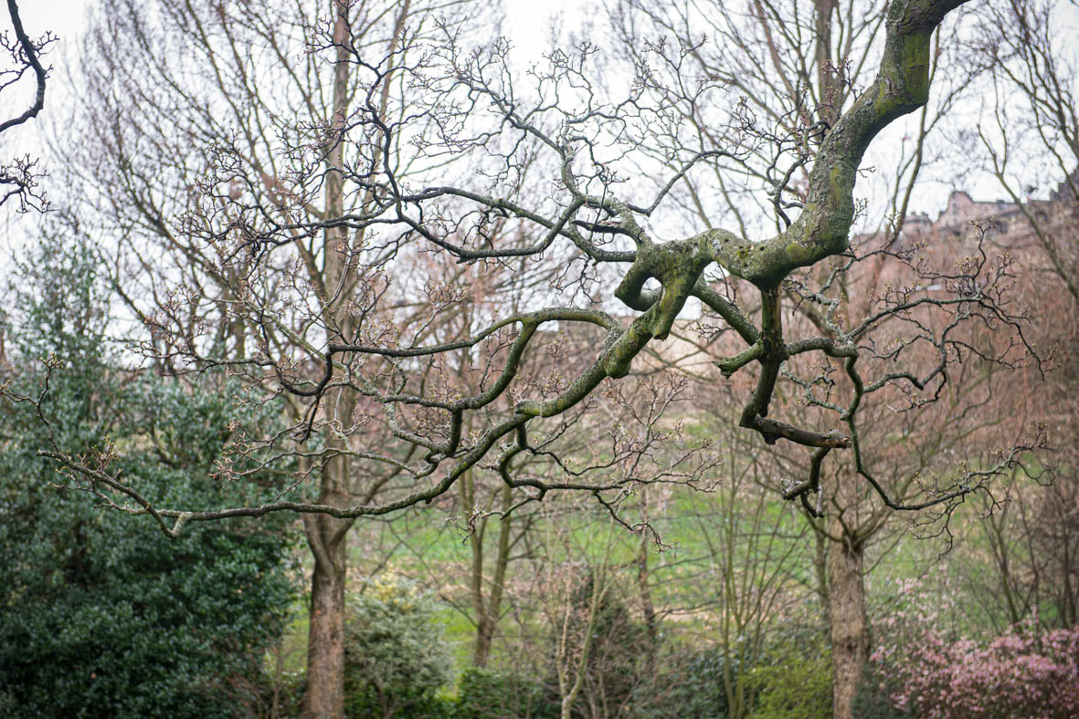Princes Street Gardens