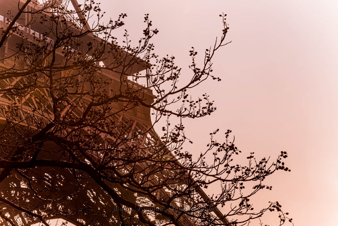 Eiffel Tower