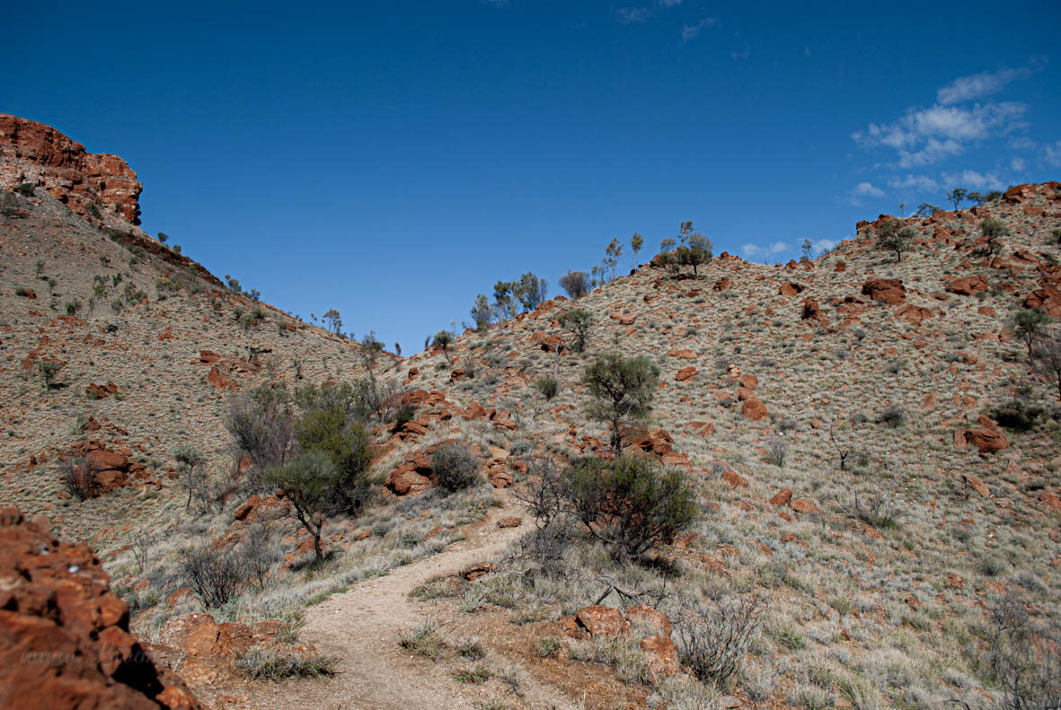 Alice Springs