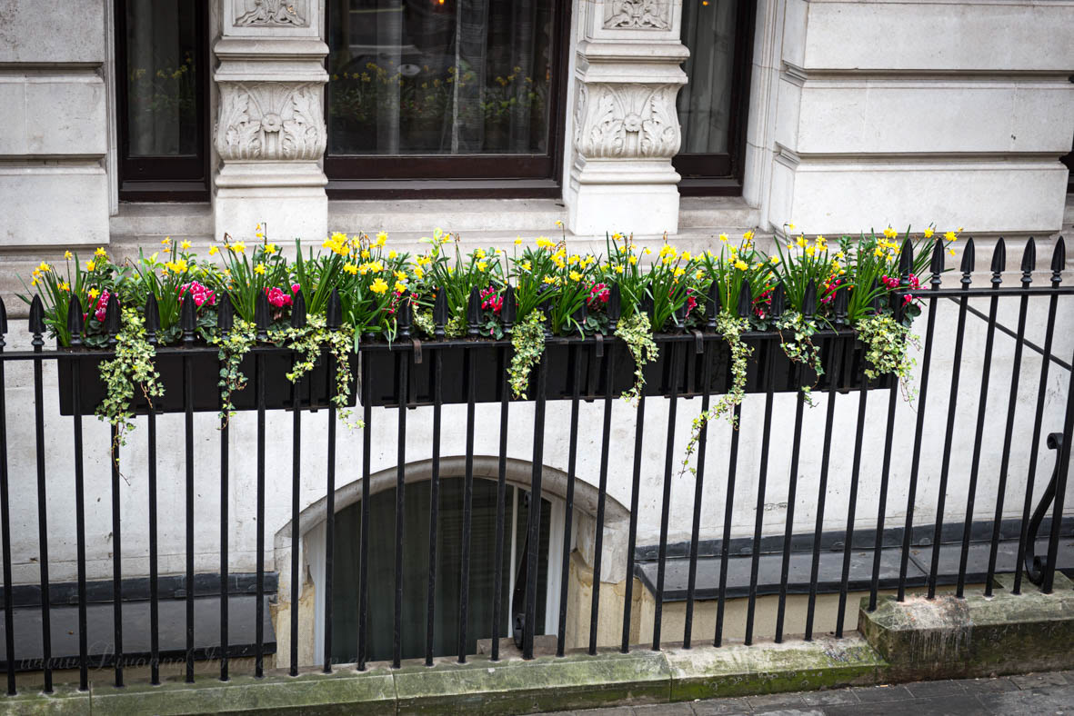 London
