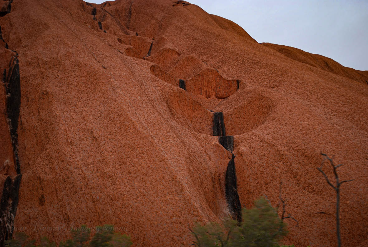To Uluru & Kata Tjuta
