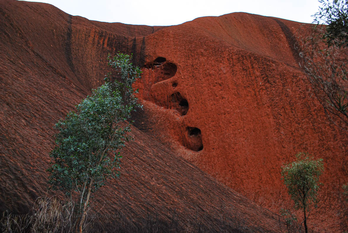 To Uluru & Kata Tjuta