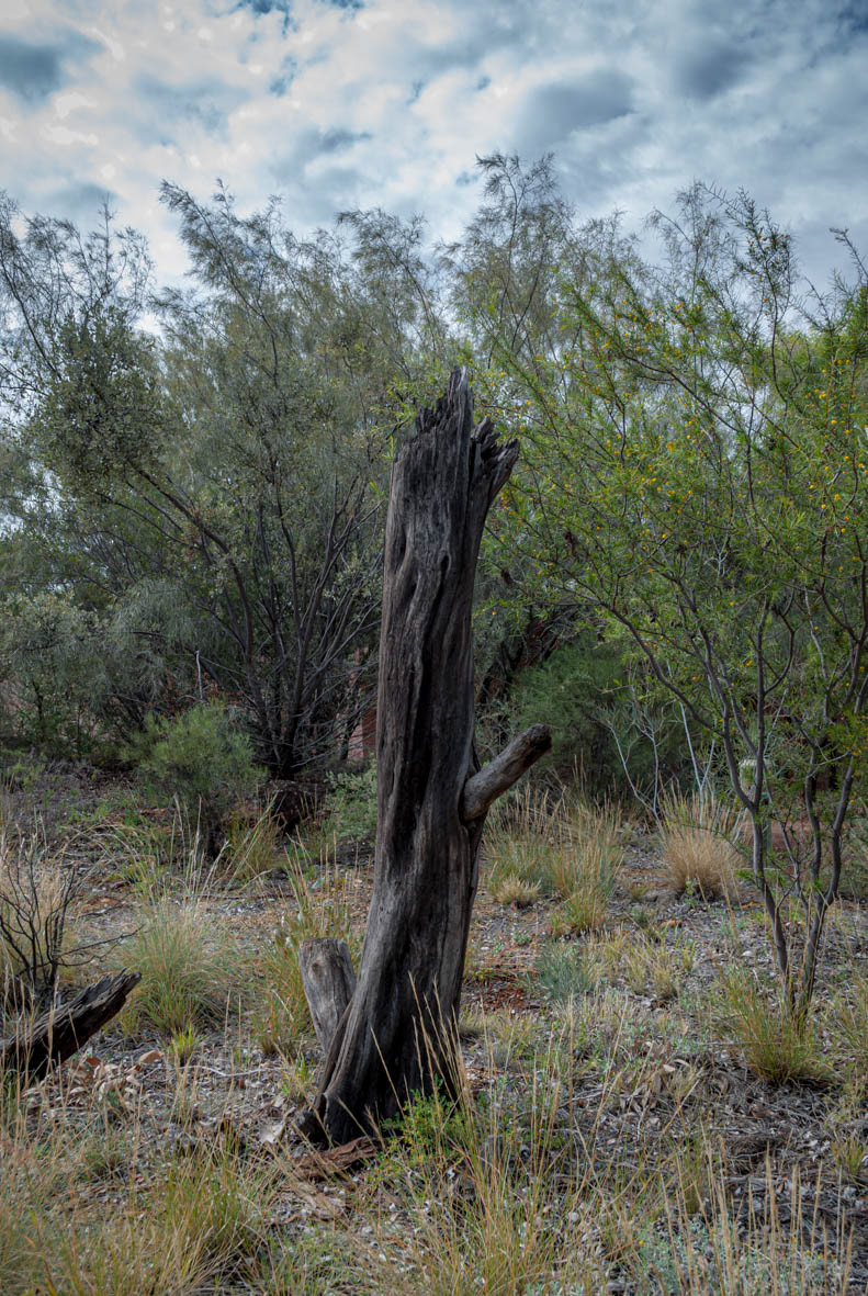 Alice Springs Desert Park