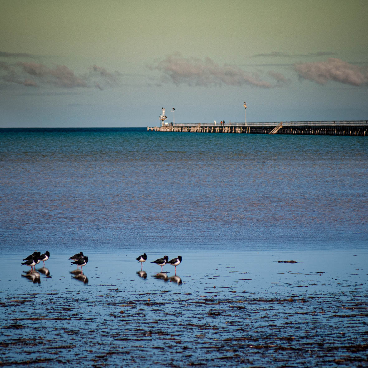 Port Germein