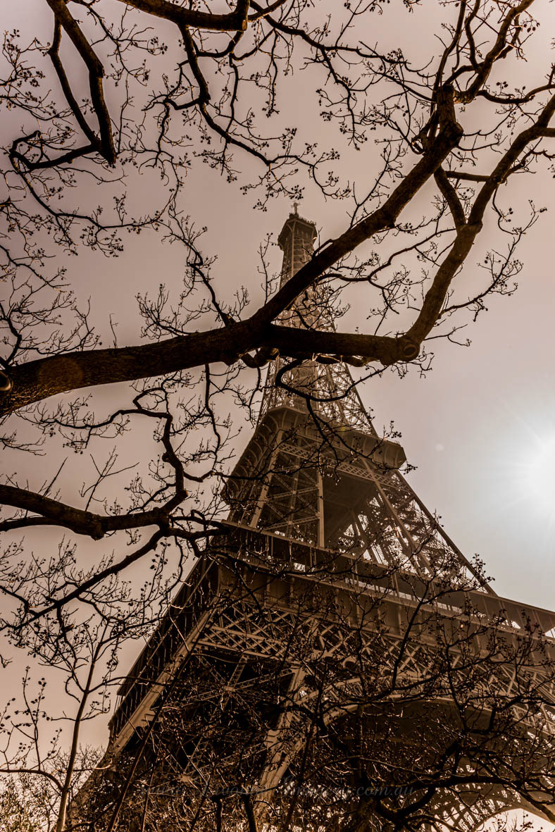 Eiffel Tower