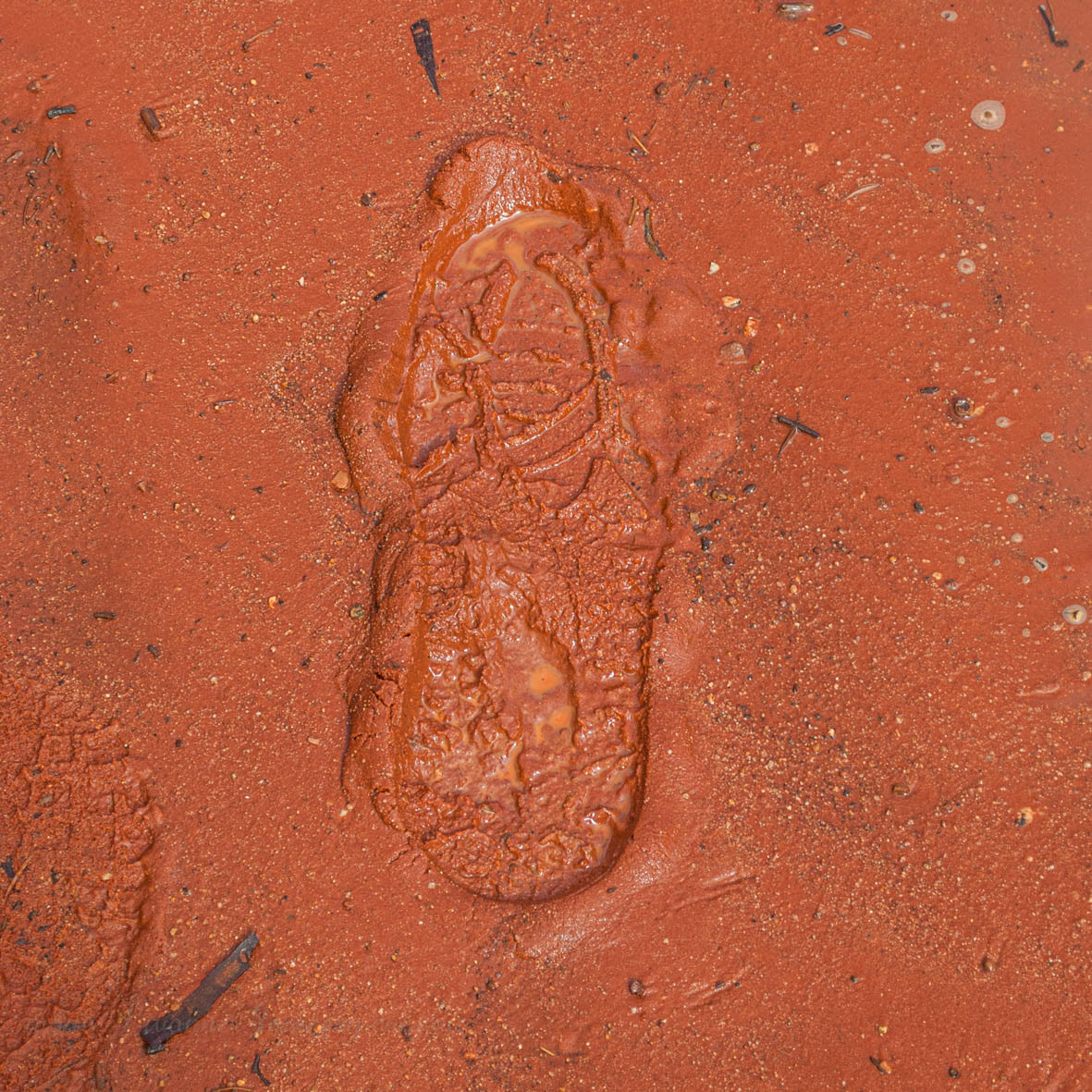 Alice Springs Desert Park