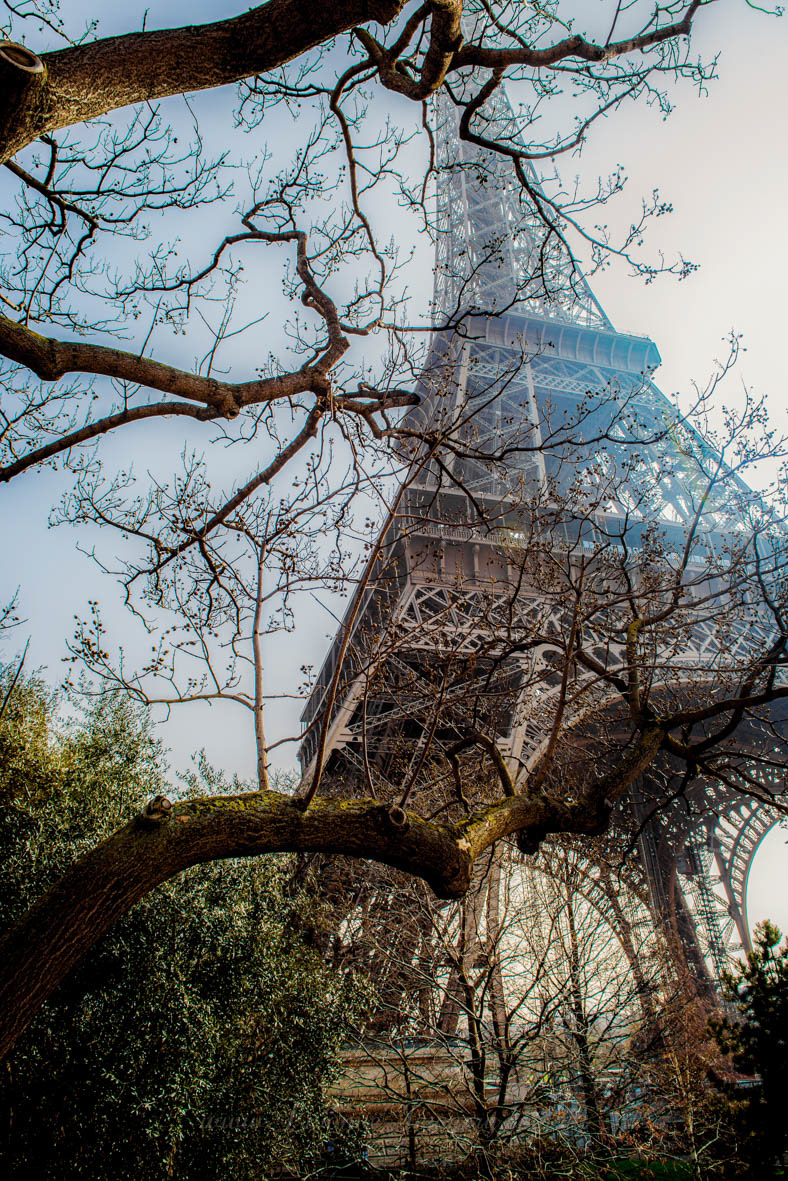 Eiffel Tower