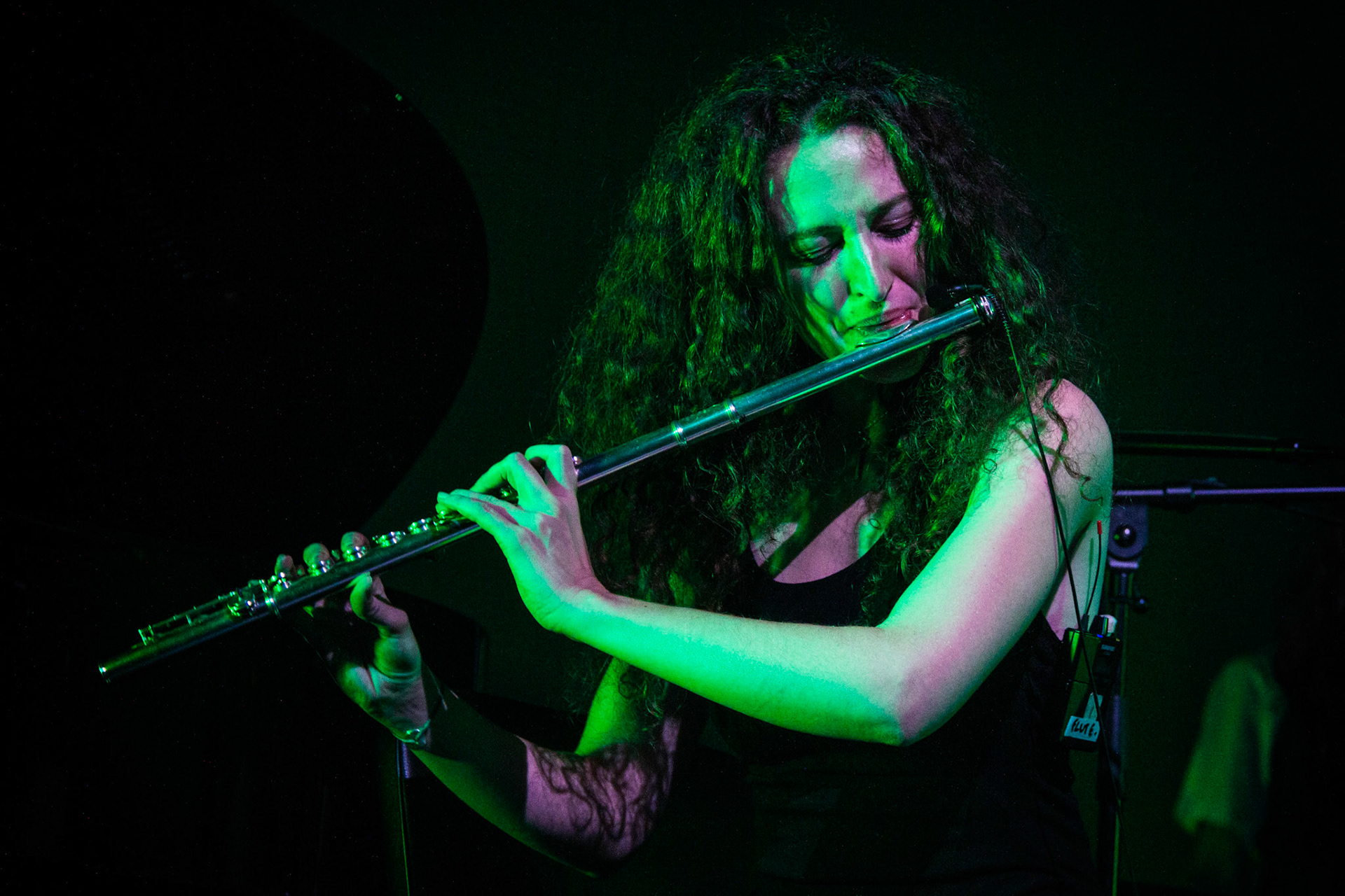 Concert Neko Light Orchestra