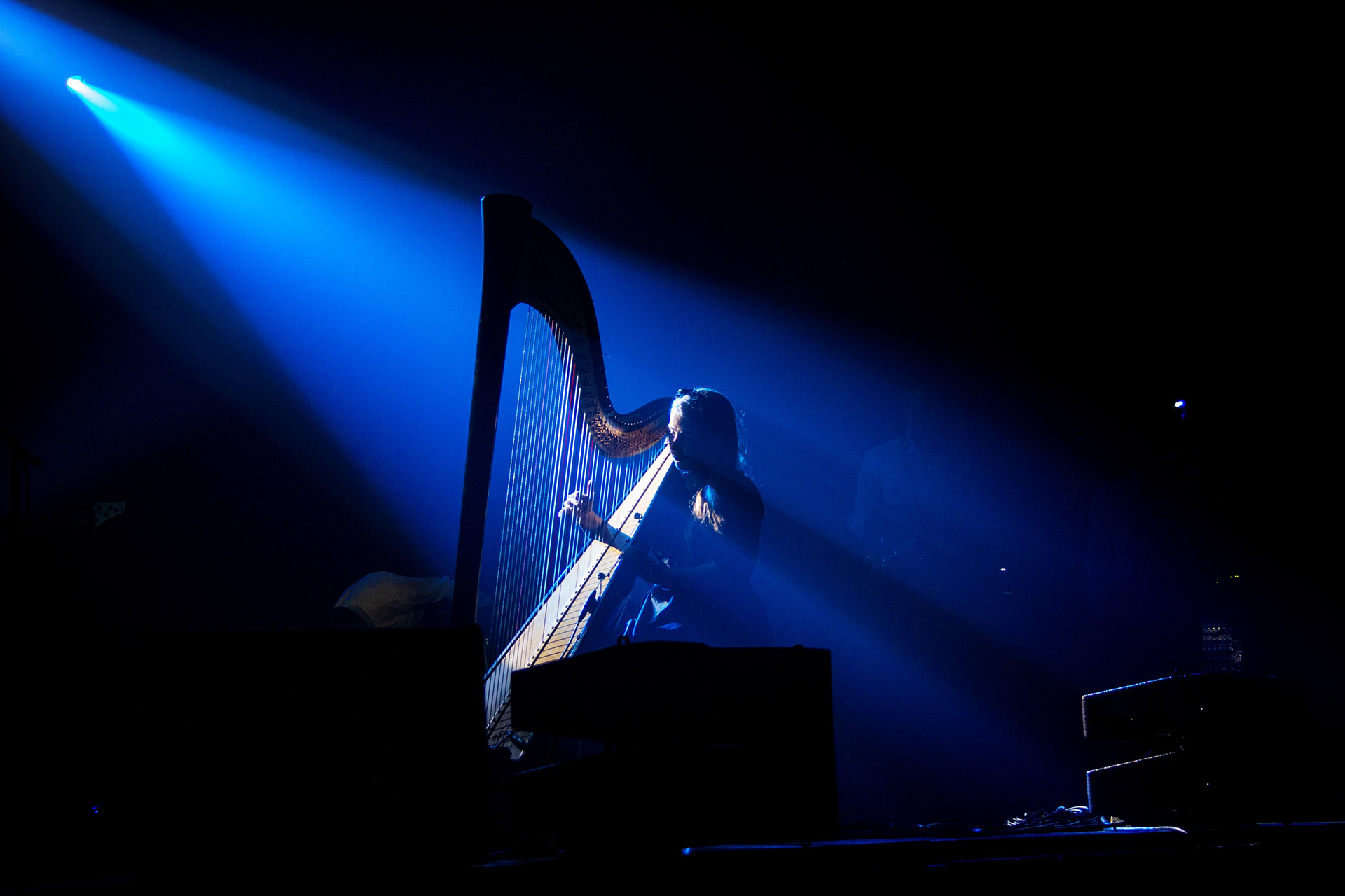 Concert - Neko Light Orchestra