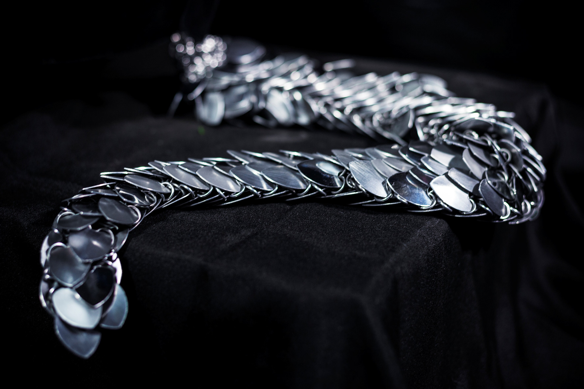 Accessoires fantaisie en écailles