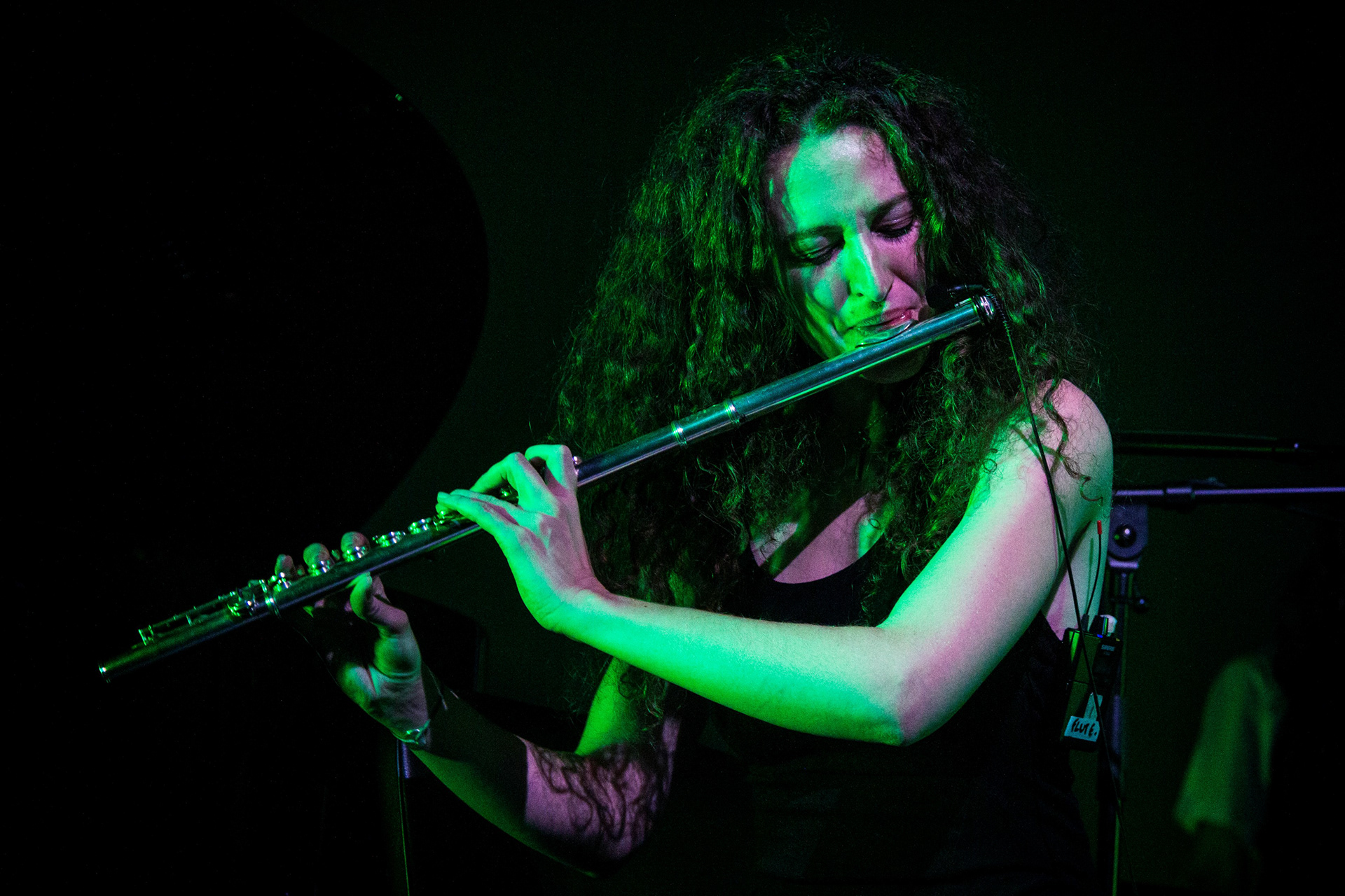 Concert - Neko Light Orchestra