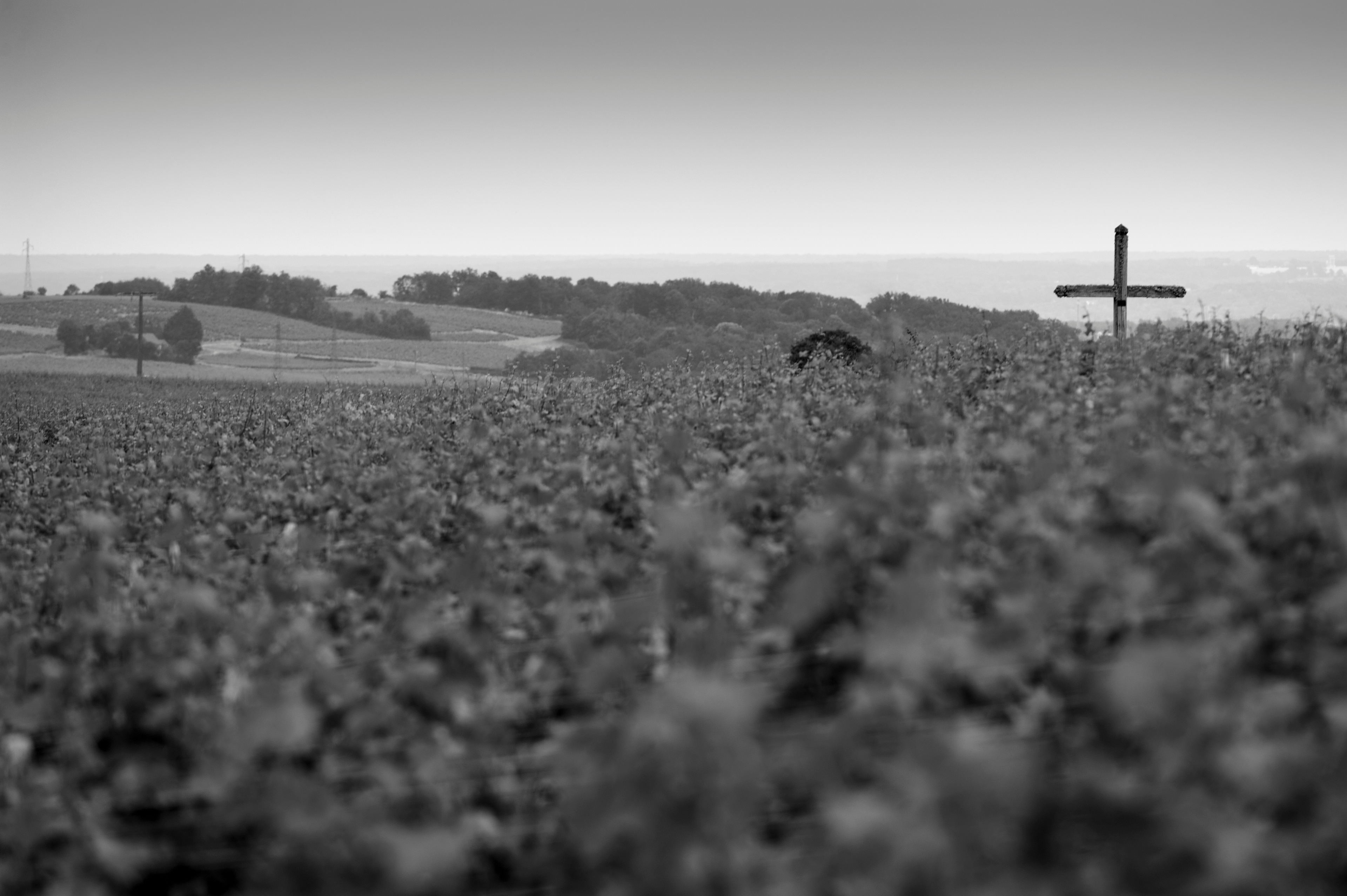 © Arnaud HEBERT / LE POINT