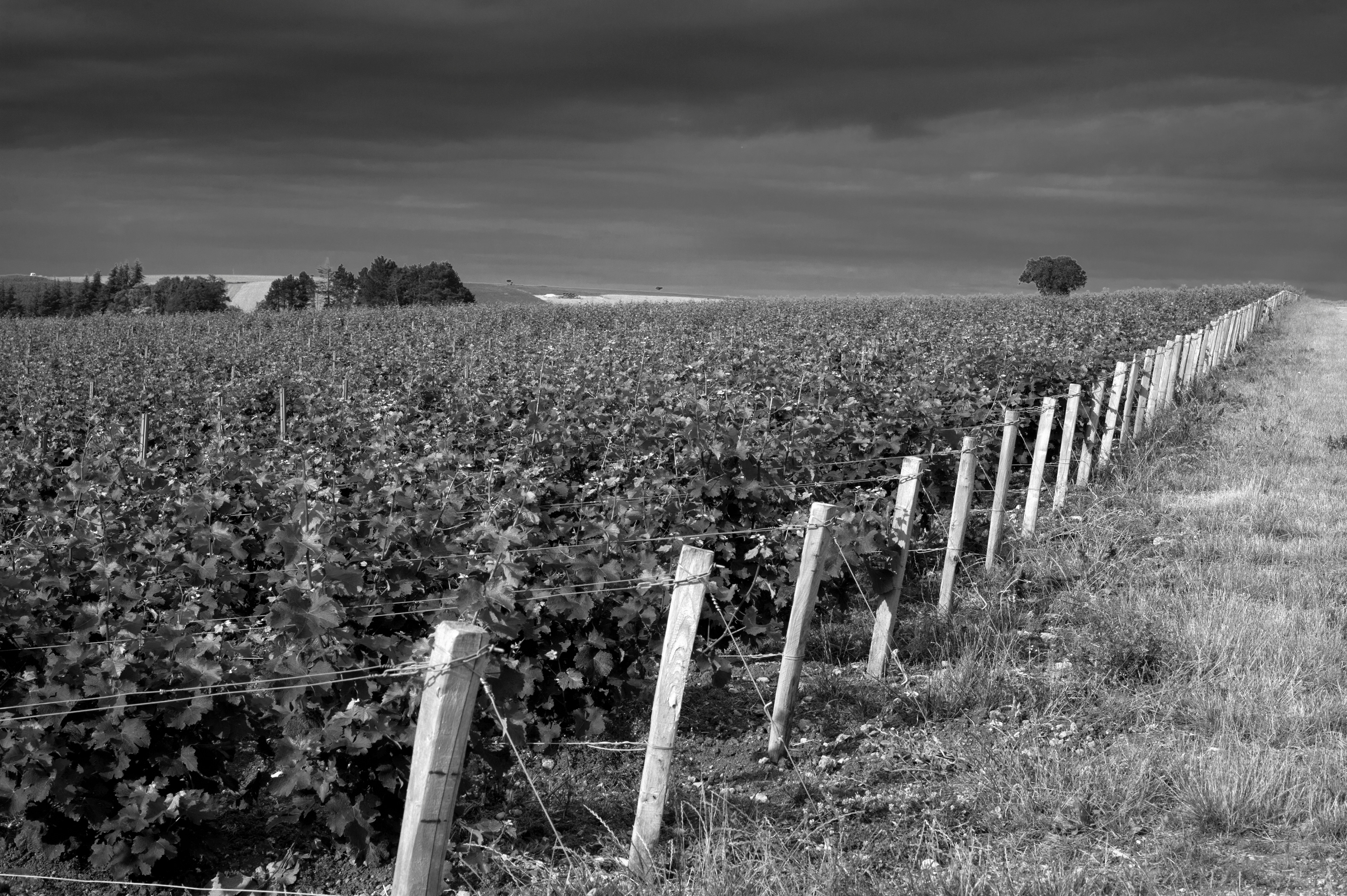 © Arnaud HEBERT / LE POINT