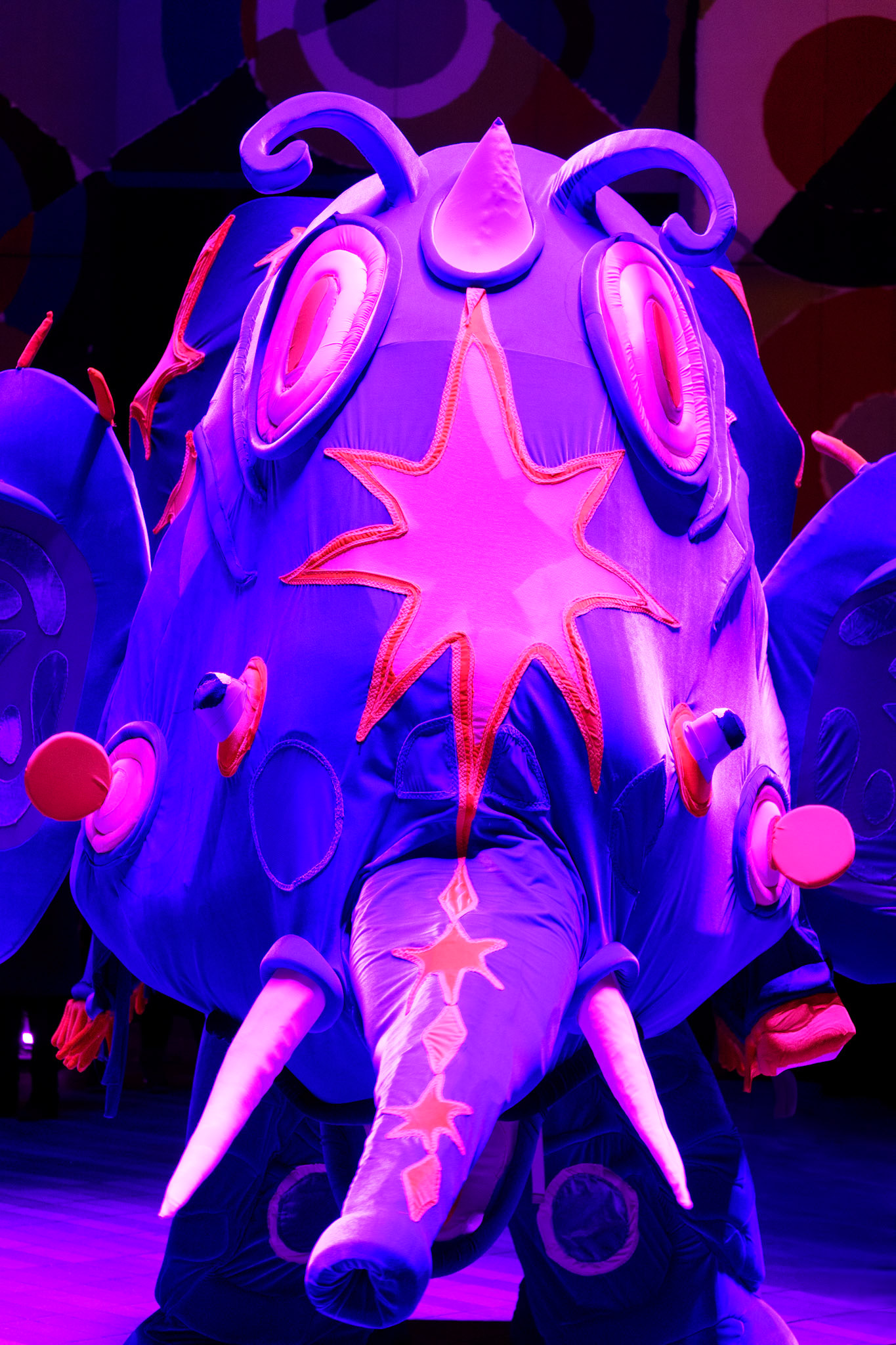 Grand Elephant - Fujifilm X-A5