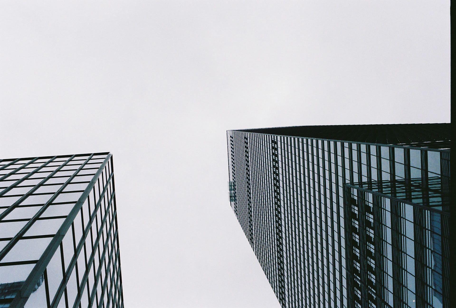 Abstract Giants - Portra 160 - Nikon N80