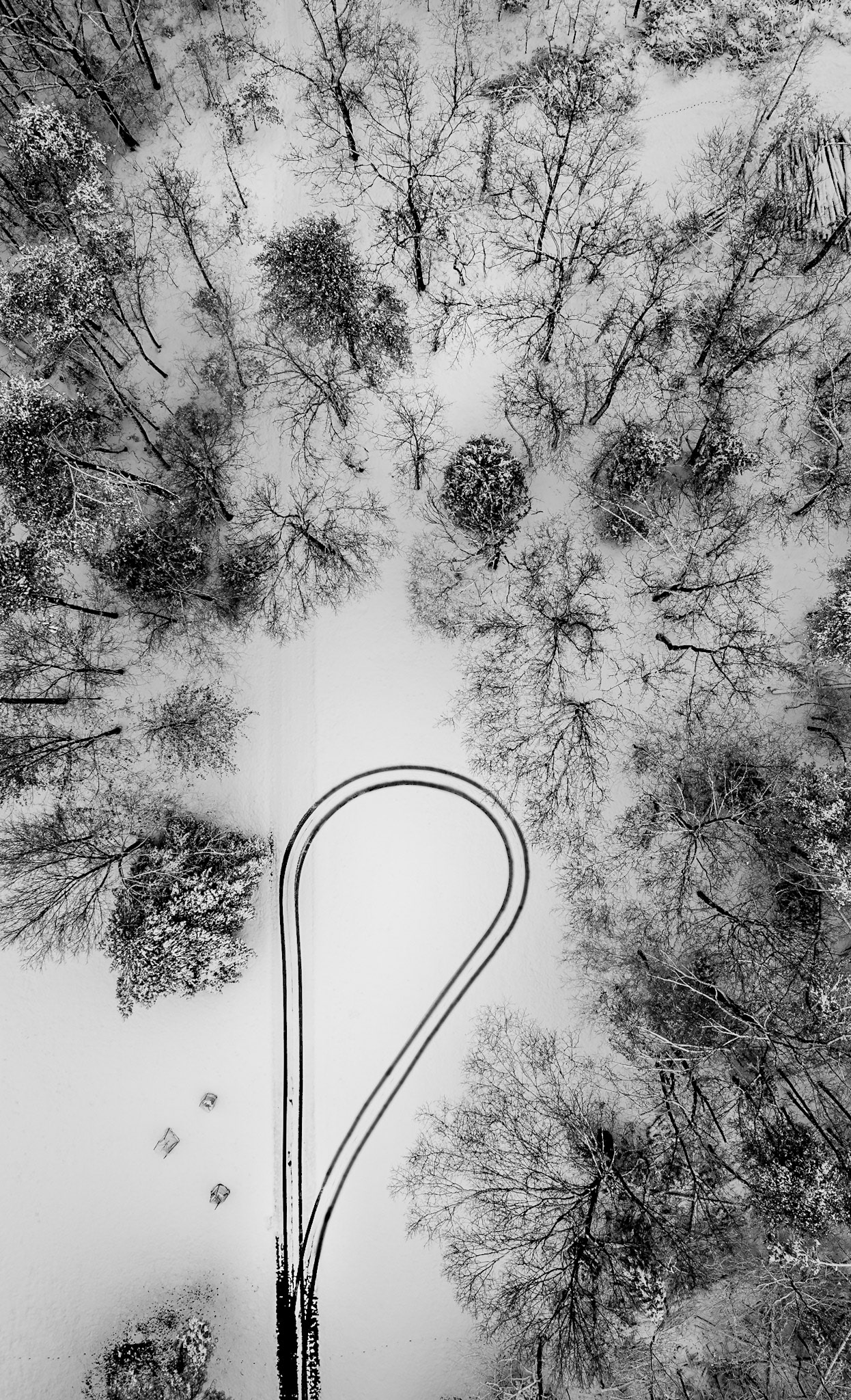 Aerial view of tracks in the snow