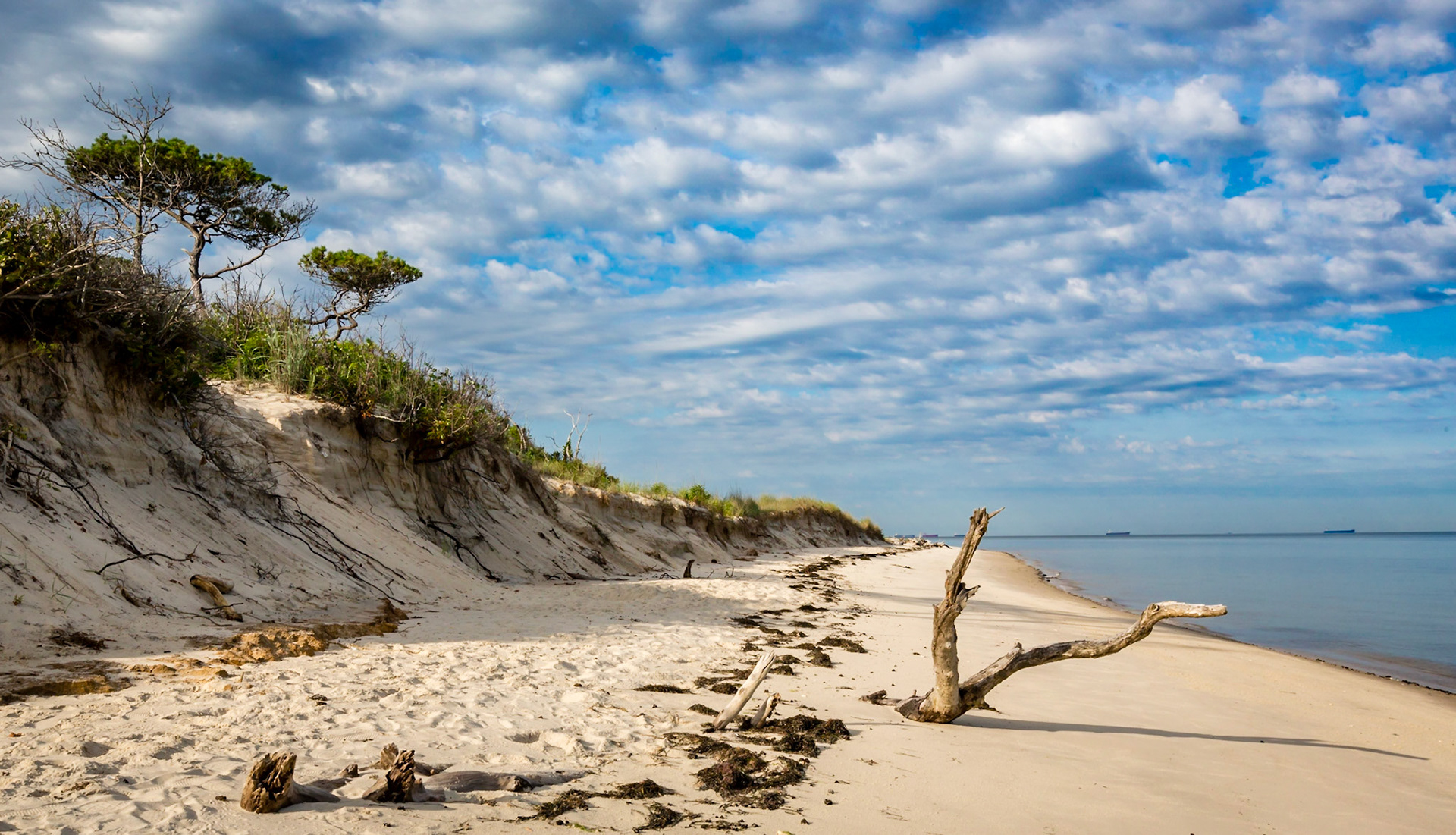 Early morning on the beach, Chesapeake Bay