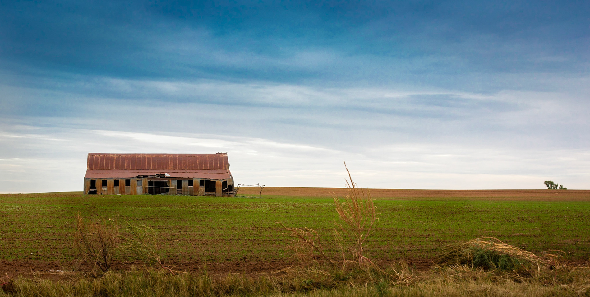 Barn, field, tree, and horizon