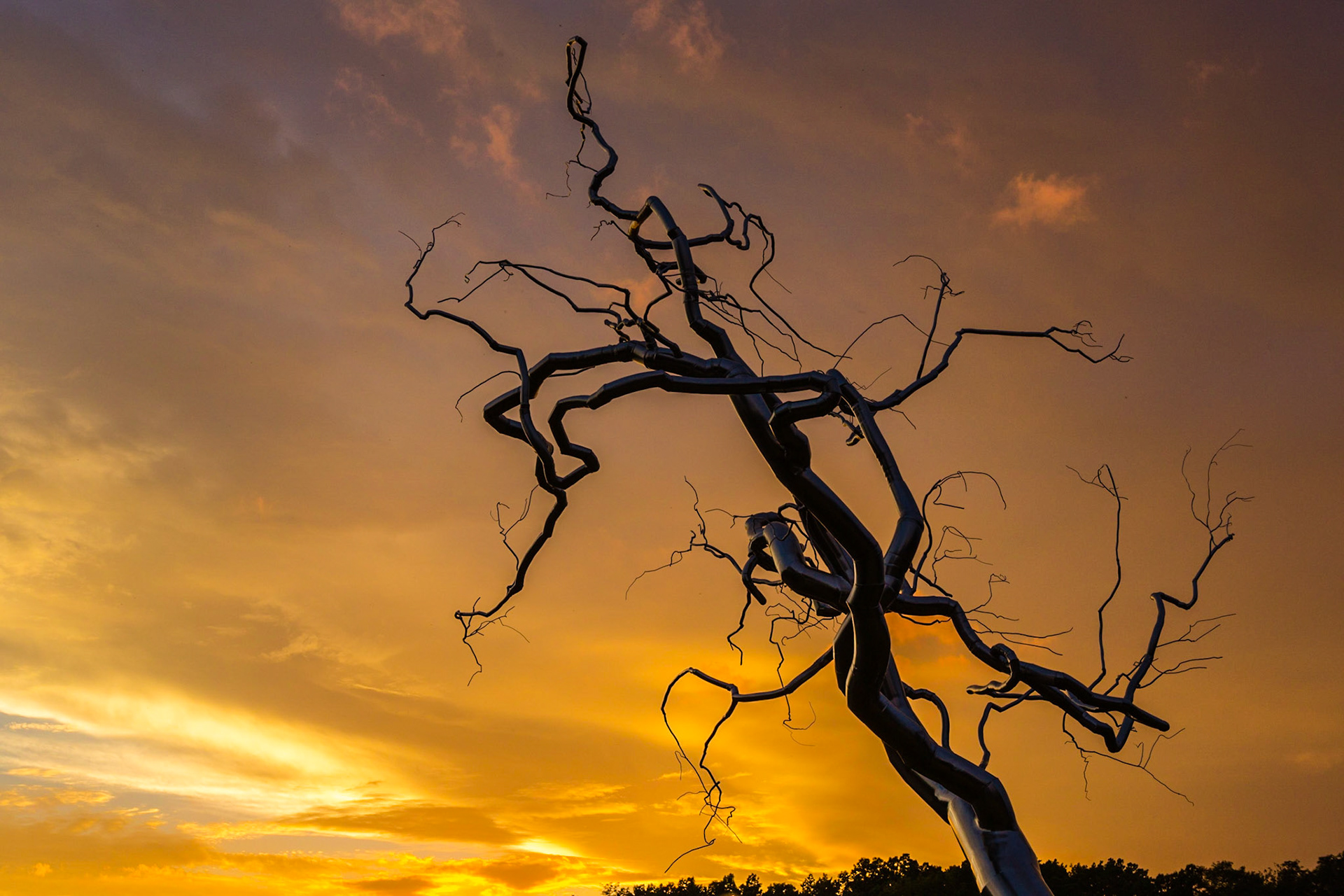 Yield, a steel sculpure by Roxy Paine