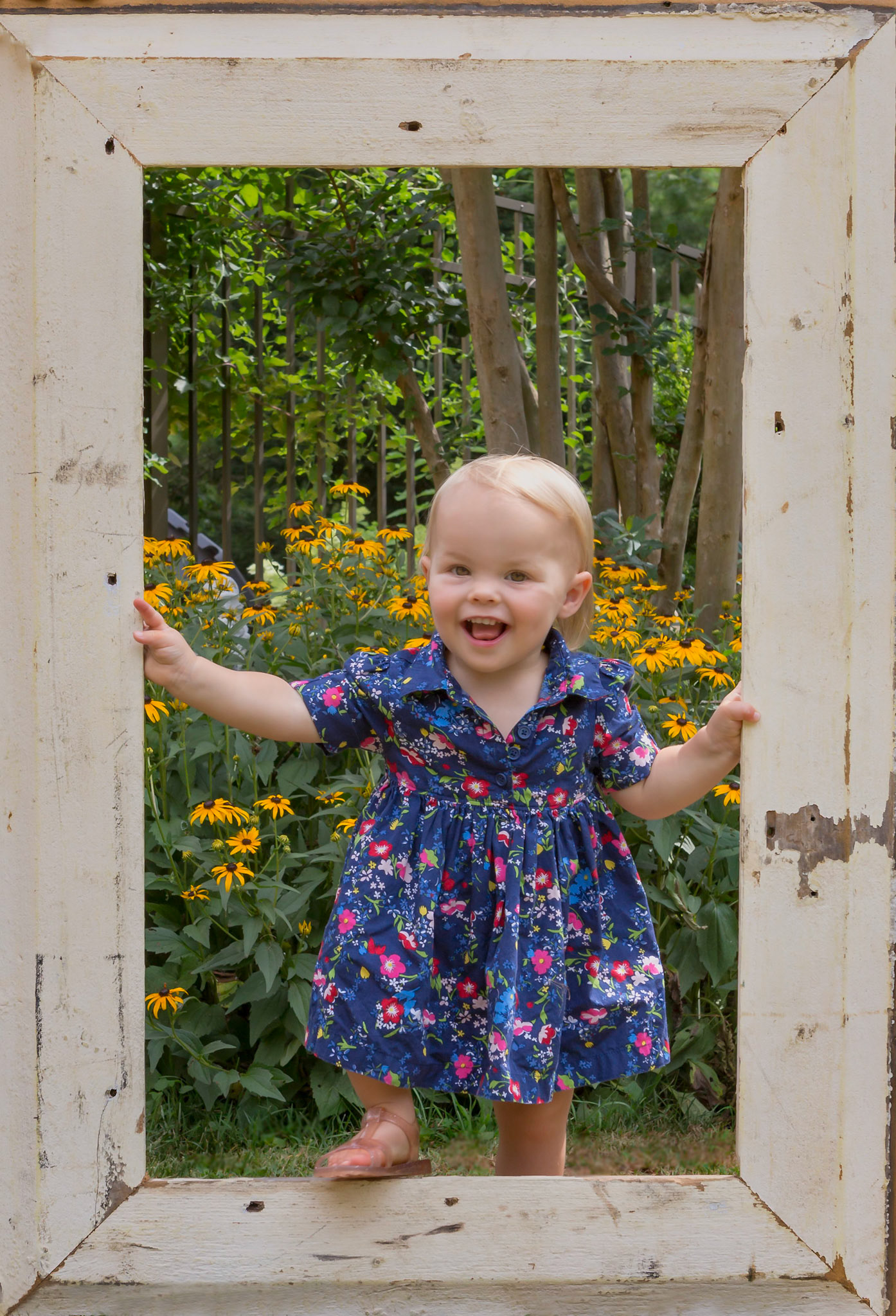 What a great way to frame a picture