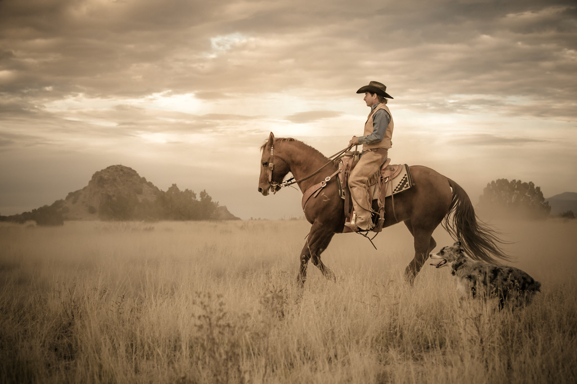 Cowboy riding his horse with dog following