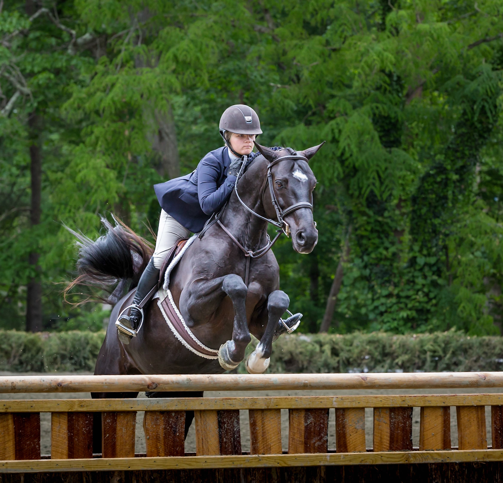 Keswick Horse Show competition