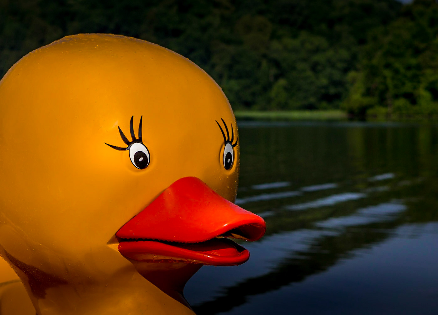A big yellow duck