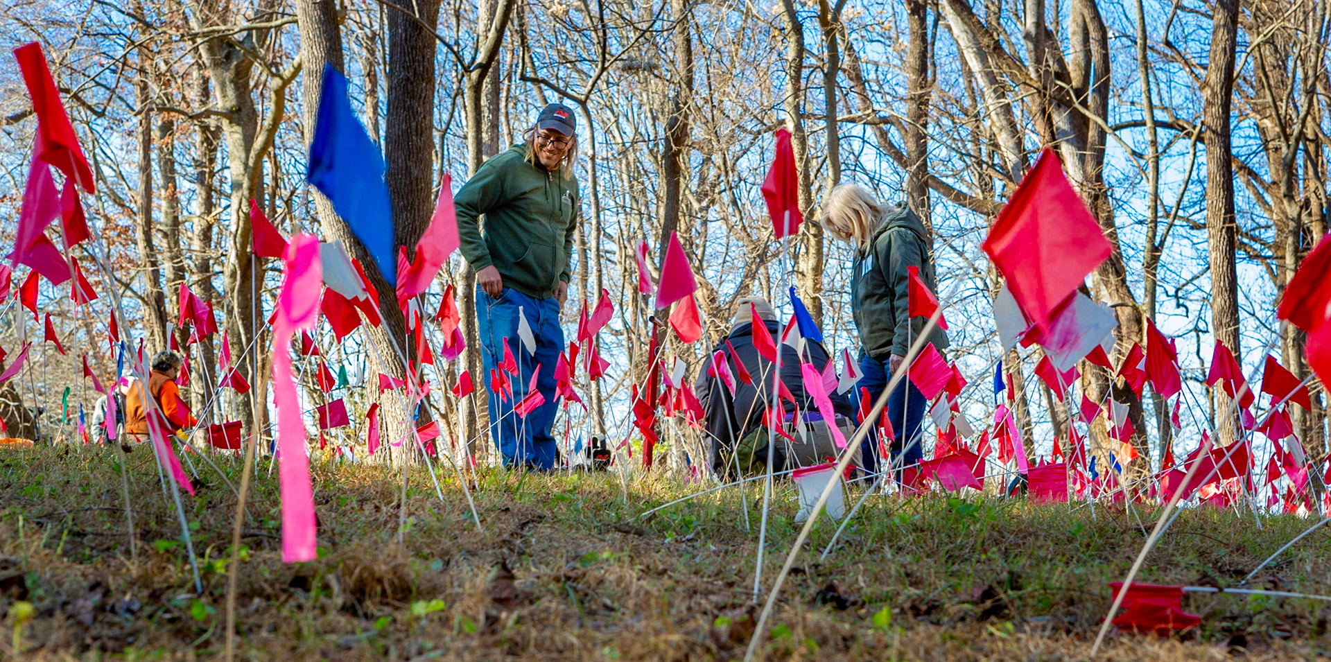 The flags indicate Metal detection results at Montpelier