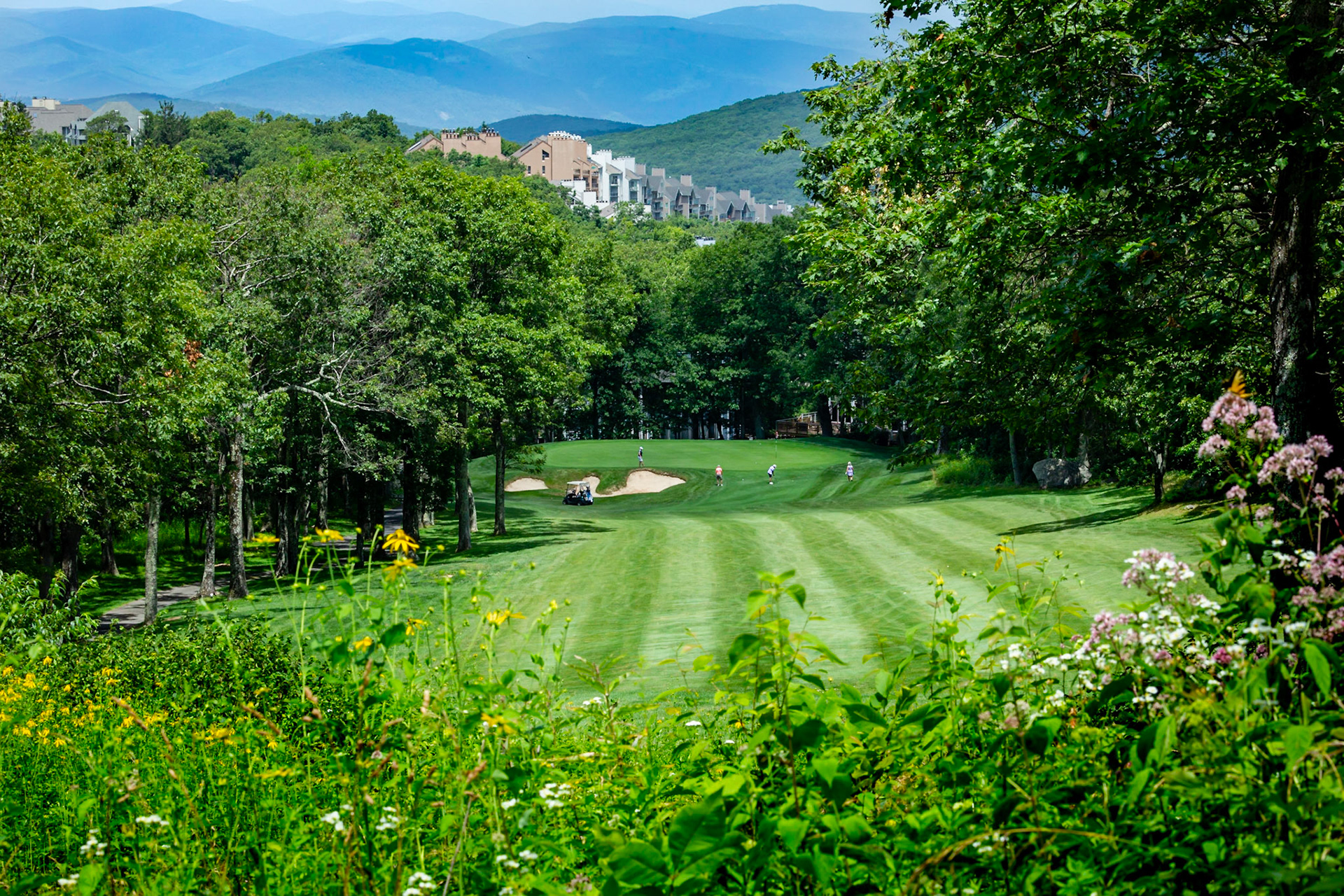 Devils Knob at Wintergreen golf course. Flowers, fairway, green, townhouses, mountains - what more could you ask for?
