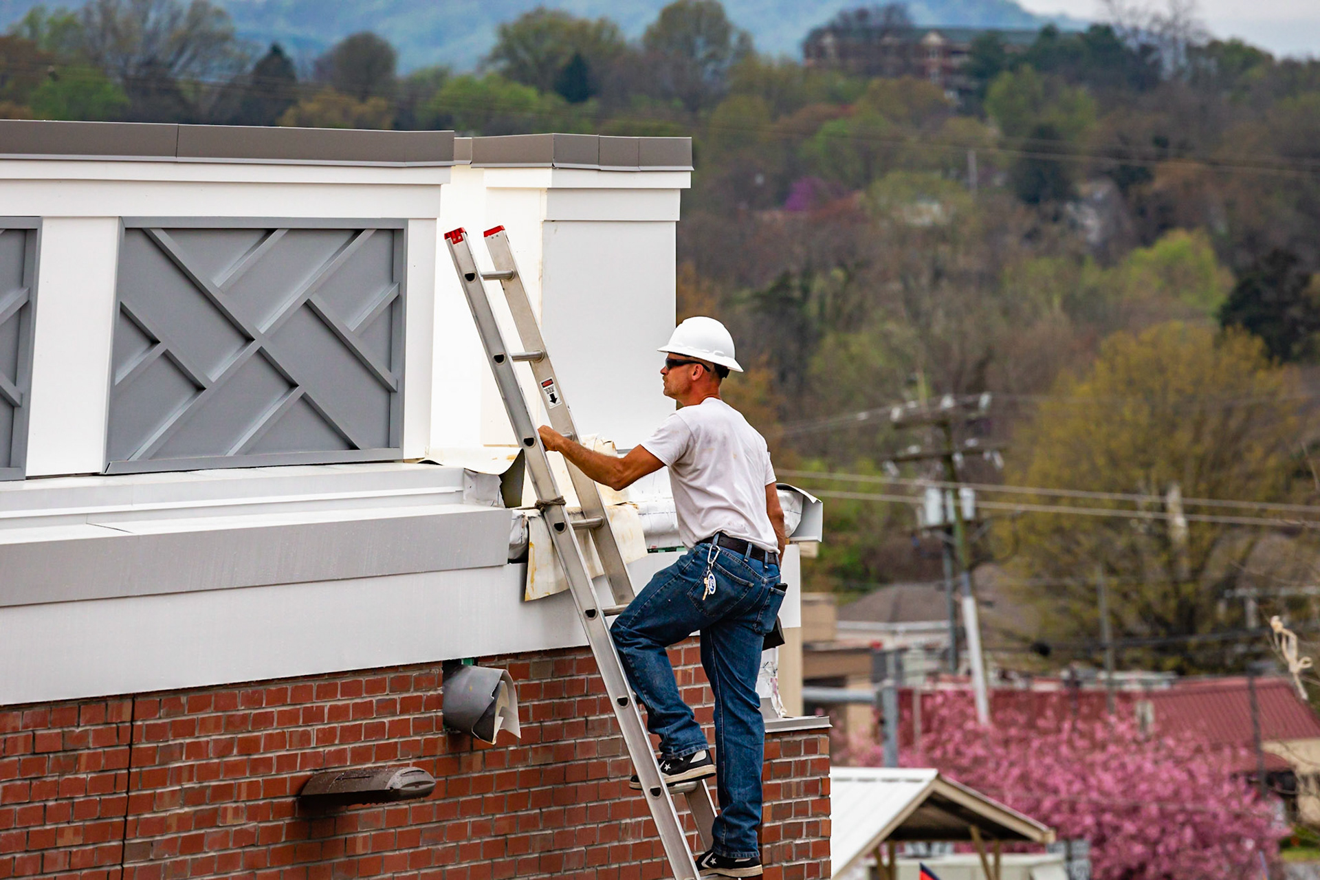 Workmen climbing a ladder