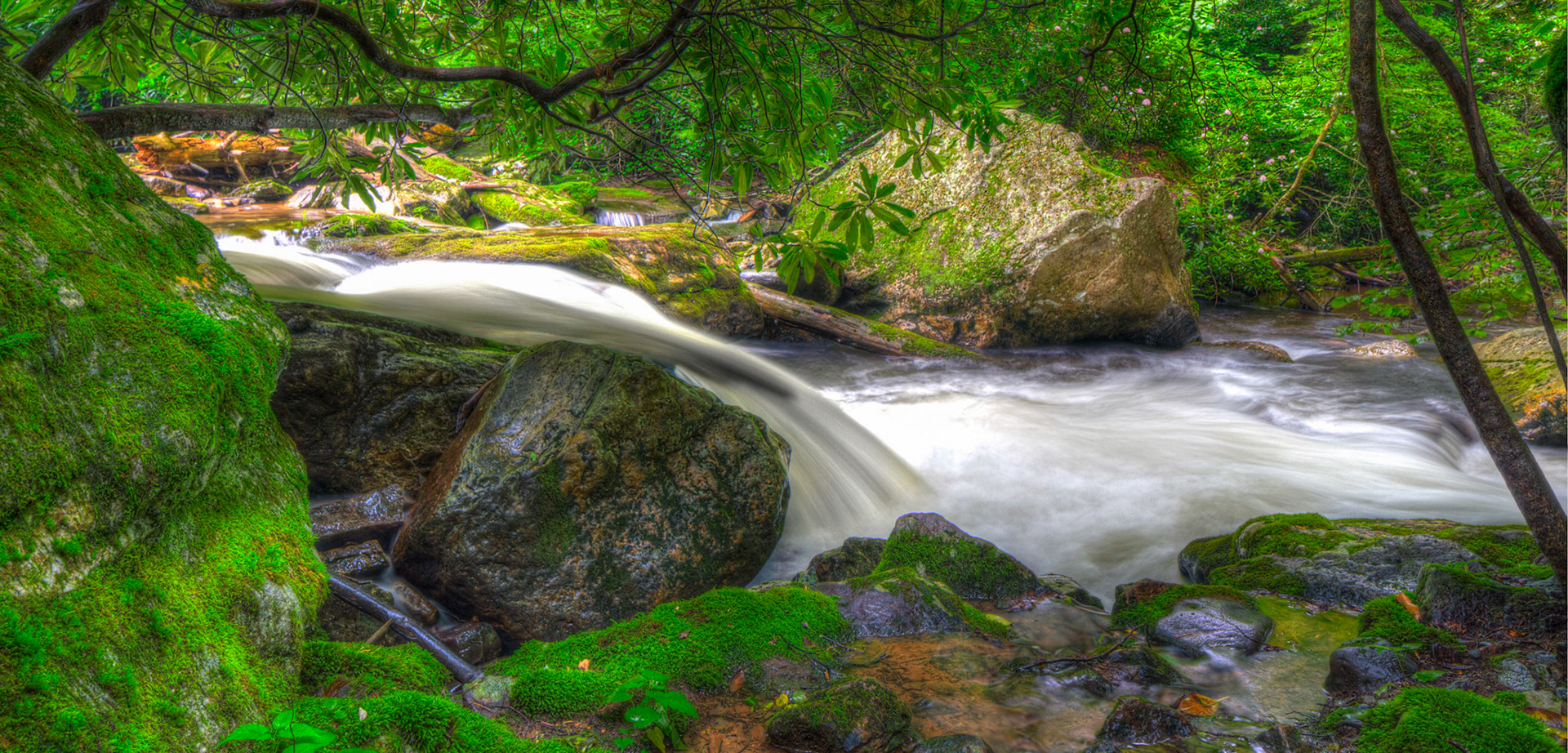 Along a stream, rippling water and green moss