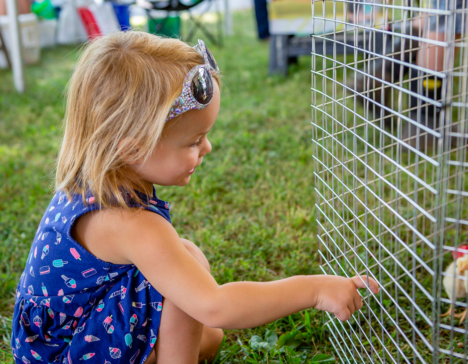 Young girl checking out the baby chics