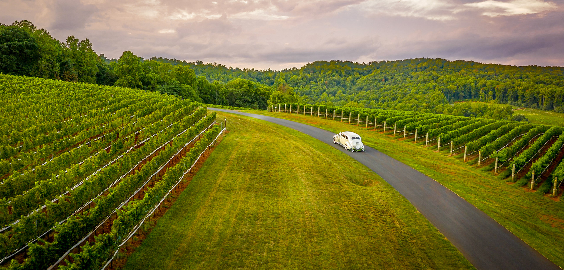 The newlyweds are off!